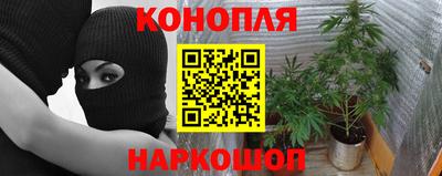 гидра Гусиноозёрск