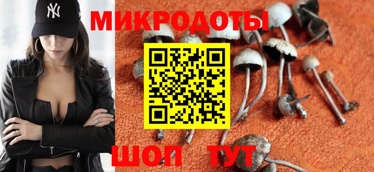 Нерюнгри  Псилоцибиновые грибы Psilocybine cubensis  наркота  Вход с VPN 