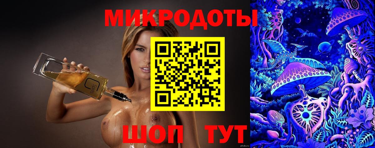 Псилоцибиновые грибы Psilocybine cubensis Нерюнгри